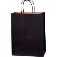 Tinted Shopping Bags, 10"W x 5"D x 13"H, Black, 250/Pack