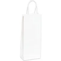 Paper Shopping Bags, 10"W x 5"D x 13"H, White, 250/Pack
